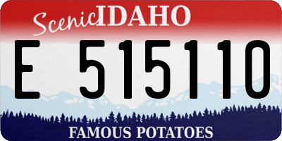 ID license plate E515110