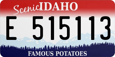 ID license plate E515113