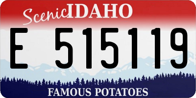 ID license plate E515119