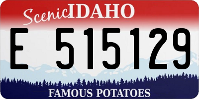 ID license plate E515129