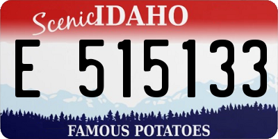 ID license plate E515133