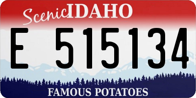 ID license plate E515134