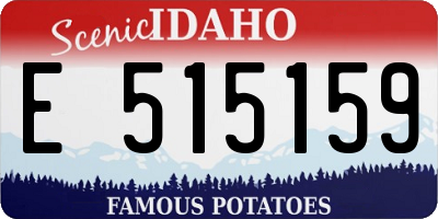 ID license plate E515159