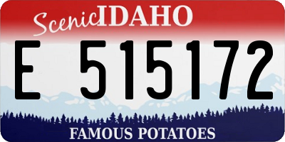 ID license plate E515172