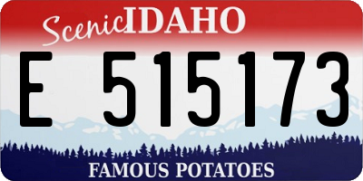 ID license plate E515173