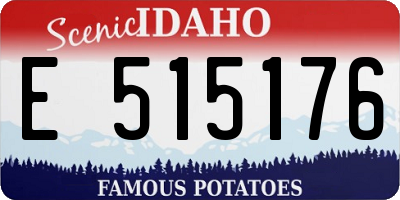 ID license plate E515176