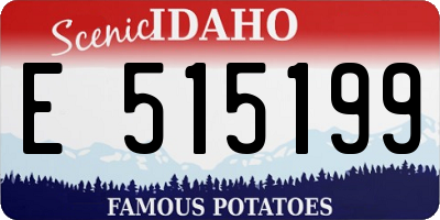 ID license plate E515199