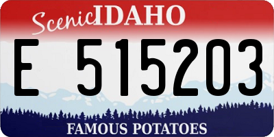 ID license plate E515203