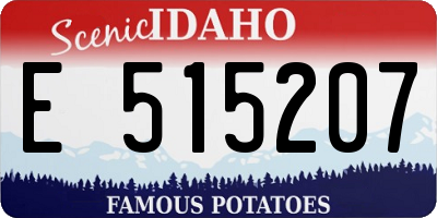 ID license plate E515207