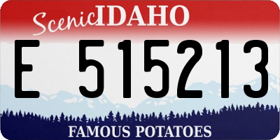 ID license plate E515213