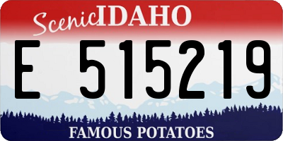 ID license plate E515219