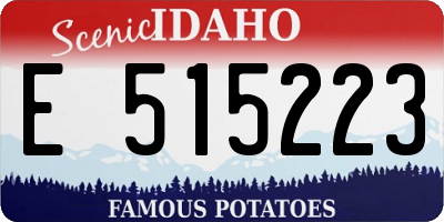 ID license plate E515223
