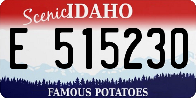 ID license plate E515230