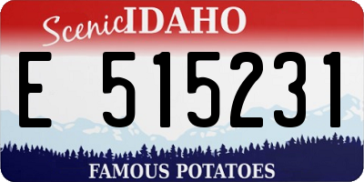 ID license plate E515231