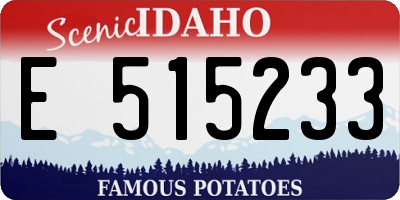 ID license plate E515233