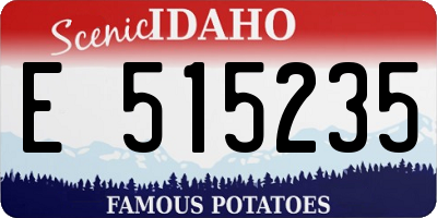 ID license plate E515235