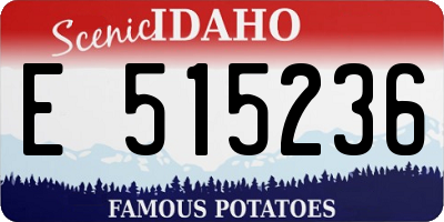 ID license plate E515236