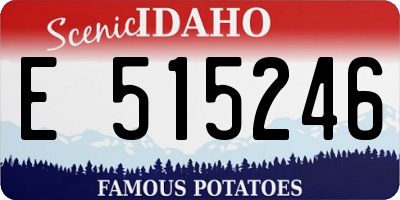 ID license plate E515246