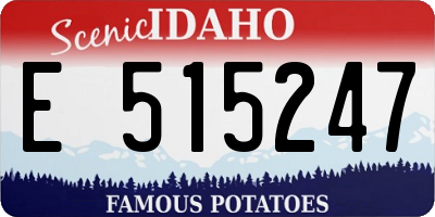 ID license plate E515247