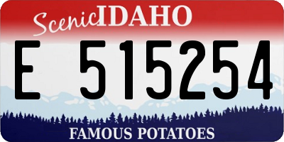 ID license plate E515254