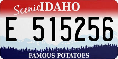 ID license plate E515256