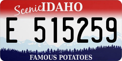 ID license plate E515259