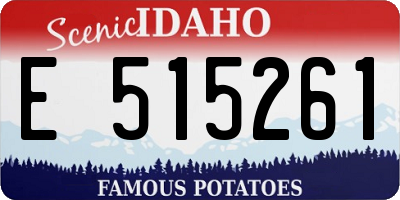 ID license plate E515261