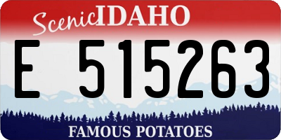 ID license plate E515263