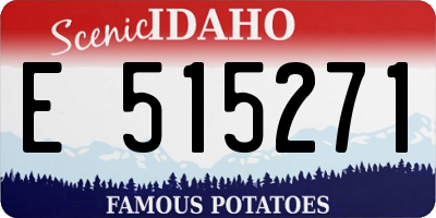 ID license plate E515271