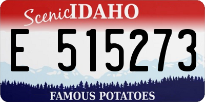 ID license plate E515273