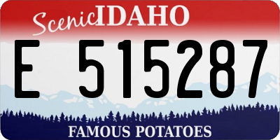 ID license plate E515287