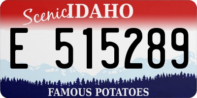 ID license plate E515289