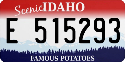 ID license plate E515293