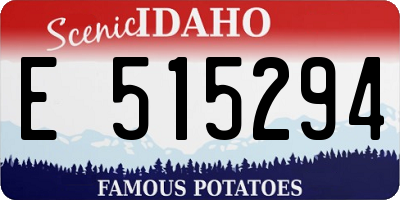 ID license plate E515294
