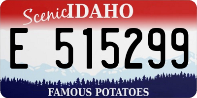 ID license plate E515299