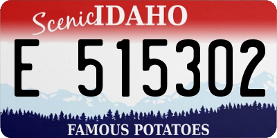 ID license plate E515302