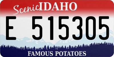 ID license plate E515305