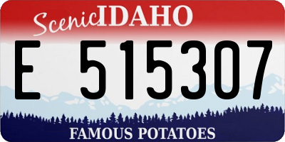 ID license plate E515307