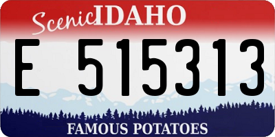 ID license plate E515313