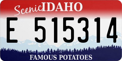 ID license plate E515314