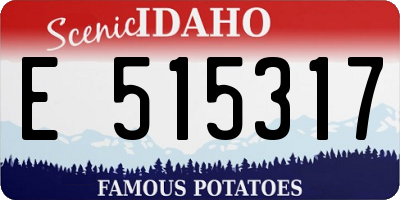 ID license plate E515317