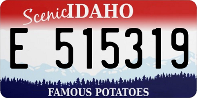 ID license plate E515319