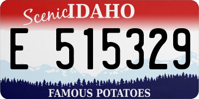 ID license plate E515329