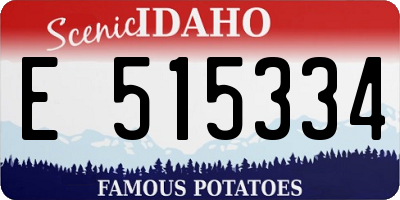 ID license plate E515334