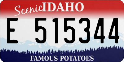 ID license plate E515344