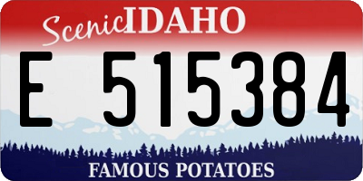 ID license plate E515384