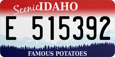 ID license plate E515392