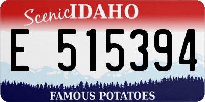 ID license plate E515394