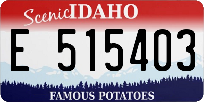 ID license plate E515403