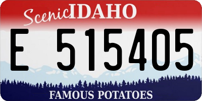 ID license plate E515405